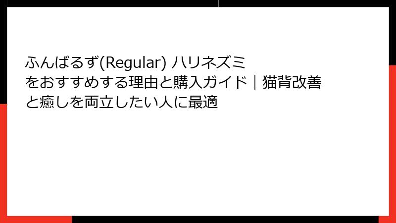 ふんばるず(Regular) ハリネズミをおすすめする理由と購入ガイド|猫背改善と癒しを両立したい人に最適