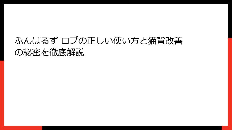 ふんばるず ロブの正しい使い方と猫背改善の秘密を徹底解説