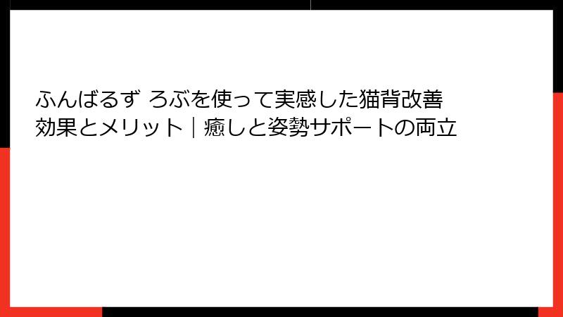 ふんばるず ろぶを使って実感した猫背改善効果とメリット｜癒しと姿勢サポートの両立