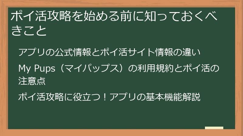 ポイ活攻略を始める前に知っておくべきこと