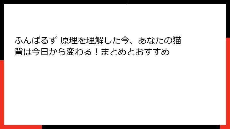 ふんばるず 原理を理解した今、あなたの猫背は今日から変わる！まとめとおすすめ