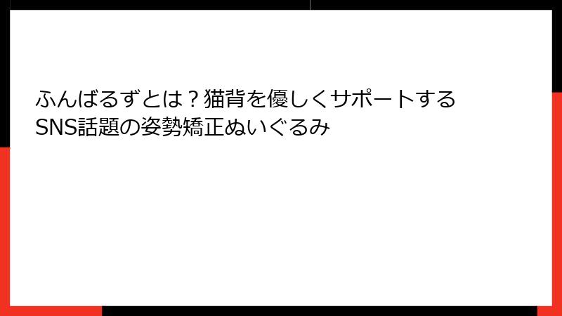 ふんばるずとは？猫背を優しくサポートするSNS話題の姿勢矯正ぬいぐるみ