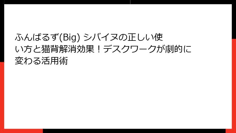 ふんばるず(Big) シバイヌの正しい使い方と猫背解消効果！デスクワークが劇的に変わる活用術