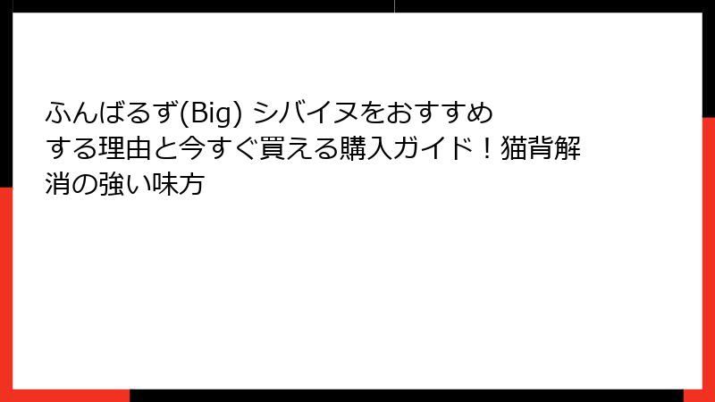 ふんばるず(Big) シバイヌをおすすめする理由と今すぐ買える購入ガイド！猫背解消の強い味方