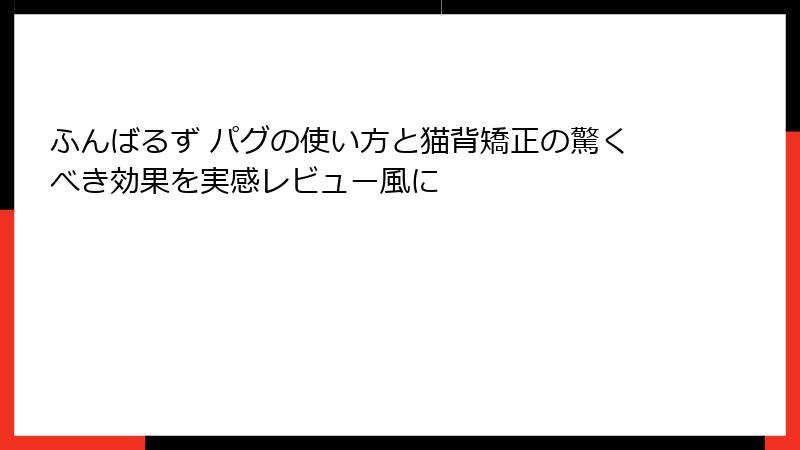 ふんばるず パグの使い方と猫背矯正の驚くべき効果を実感レビュー風に