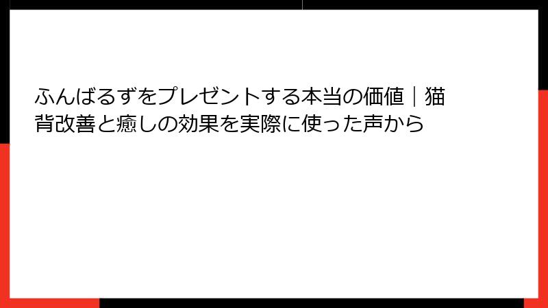 ふんばるずをプレゼントする本当の価値|猫背改善と癒しの効果を実際に使った声から