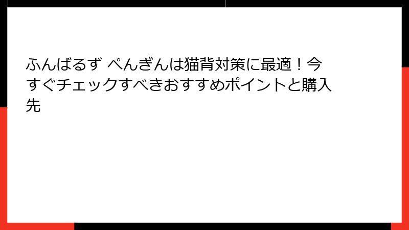 ふんばるず ぺんぎんは猫背対策に最適！今すぐチェックすべきおすすめポイントと購入先