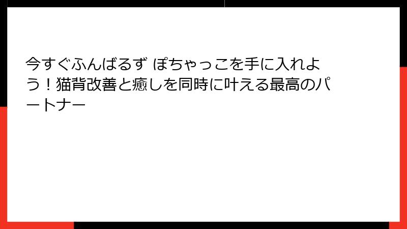 今すぐふんばるず ぽちゃっこを手に入れよう！猫背改善と癒しを同時に叶える最高のパートナー