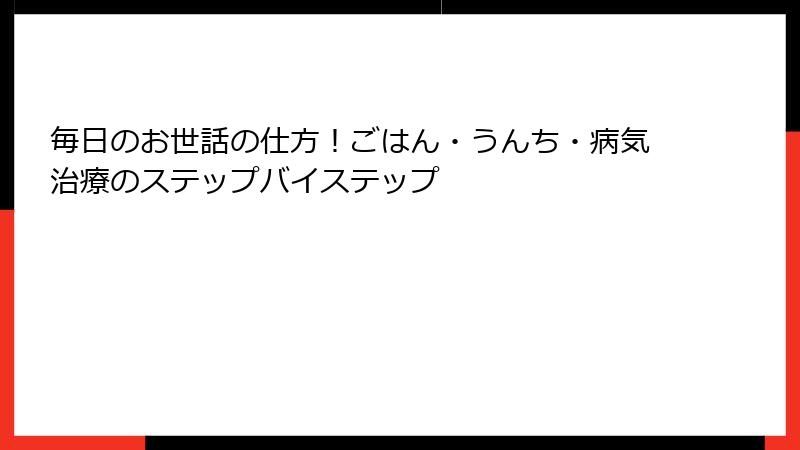 毎日のお世話の仕方！ごはん・うんち・病気治療のステップバイステップ