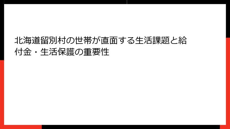 北海道留別村の世帯が直面する生活課題と給付金・生活保護の重要性