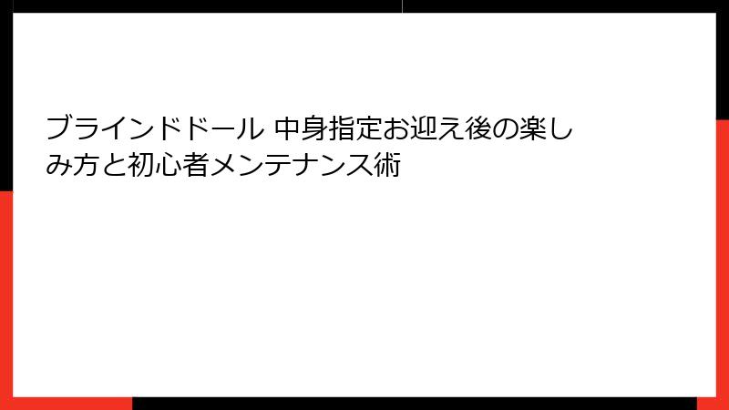 ブラインドドール 中身指定お迎え後の楽しみ方と初心者メンテナンス術