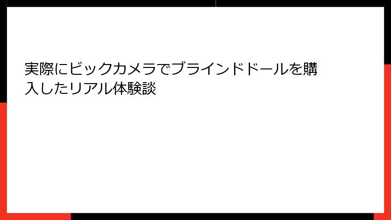 実際にビックカメラでブラインドドールを購入したリアル体験談