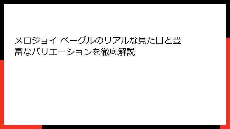 メロジョイ ベーグルのリアルな見た目と豊富なバリエーションを徹底解説