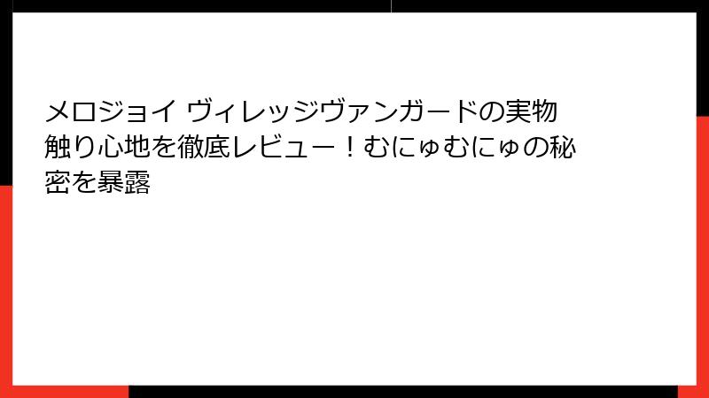 メロジョイ ヴィレッジヴァンガードの実物触り心地を徹底レビュー！むにゅむにゅの秘密を暴露