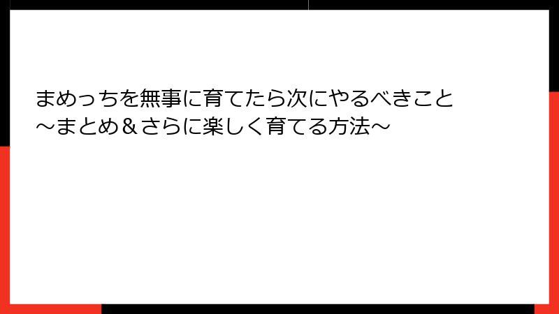 まめっちを無事に育てたら次にやるべきこと～まとめ＆さらに楽しく育てる方法～